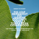 HYDRATION DUO I GREEN FIG