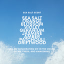 HYDRATION DUO I SEA SALT